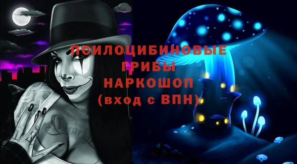 крисы Алексеевка