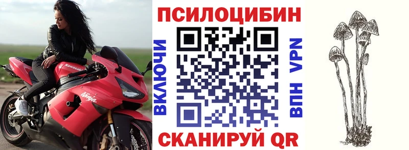как найти   Кореновск  Галлюциногенные грибы ЛСД 