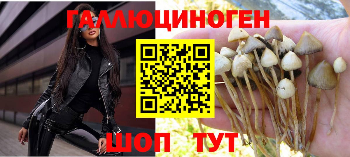Галлюциногенные грибы ЛСД  Галлюциногенные грибы Cubensis  Кореновск  Вход с VPN 
